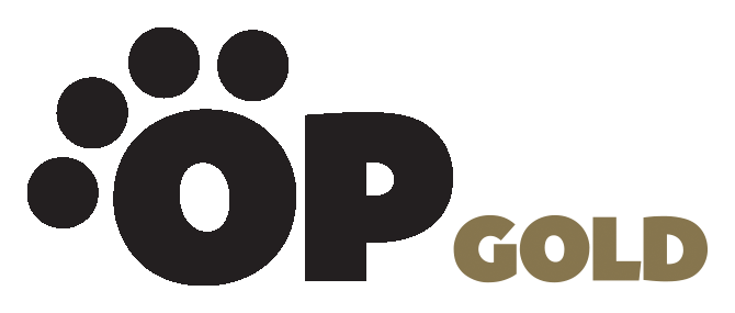 Canvas Logo